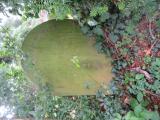 image of grave number 527671
